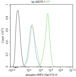 磷酸化肝细胞核因子4α抗体-bs-4001R