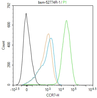 细胞表面趋化因子受体7重组兔单抗