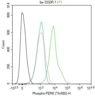 磷酸化蛋白激酶样内质网激酶抗体-bs-3330R
