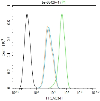转录因子E2F8抗体-bs-4265R