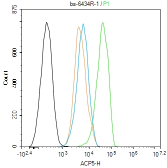 抗酒石酸酸性磷酸酶5型/5型酸性磷酸酶抗体-bs-6434R