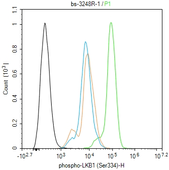 磷酸化丝氨酸/苏氨酸蛋白激酶抗体-bs-3248R