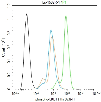 磷酸化丝氨酸/苏氨酸蛋白激酶抗体-bs-1532R