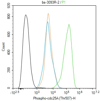 phospho-cdc25A (Thr507) Rabbit pAb (一抗) - Flow-Cyt | Bioss