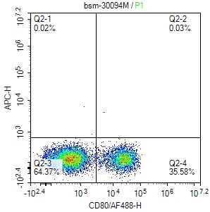 human CD8 Mouse mAb (一抗) | Bioss