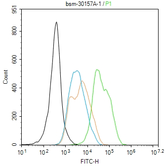 mouse CD25 Rat mAb (一抗) | Bioss