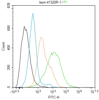 Toll样受体7重组兔单抗