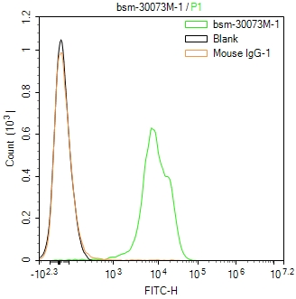 CD11b Mouse mAb (一抗) | Bioss