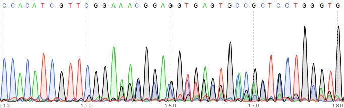 EGFR基因敲除Hela细胞(Pool)-K004-5-3P
