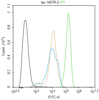 缺氧诱导因子1β/HIF-1β抗体-bs-1407R