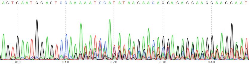 IL7 receptor alpha基因敲除Hela细胞（Pool）-K016-1-2P