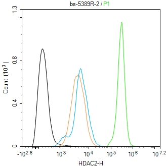 磷酸化组蛋白去乙酰化酶2抗体-bs-5389R