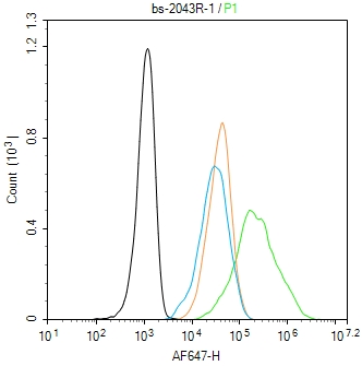 细胞角蛋白18抗体-bs-2043R