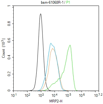多药耐药相关蛋白2重组兔单抗