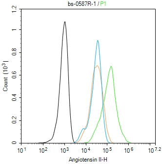 血管紧张素Ⅱ抗体-bs-0587R
