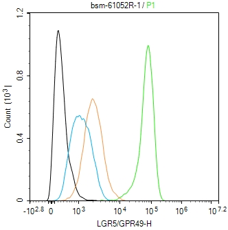 蛋白偶联受体49重组兔单抗