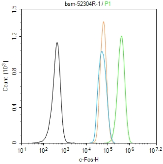 c-fos重组兔单抗