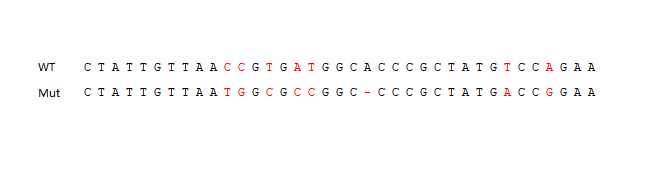 CD44 Knockout Hela Cell Line (Pool) (KO细胞系) | Bioss