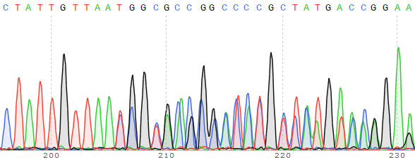 CD44基因敲除Hela细胞（Pool）-K069-1-2P