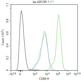 CD68抗体-bs-42013R