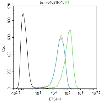 转录因子家族ETS1重组兔单抗