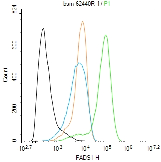 脂肪酸去饱和酶1重组兔单抗