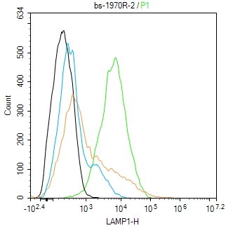 溶酶体相关膜蛋白1（CD107）抗体-bs-1970R
