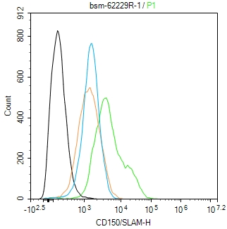 信号淋巴细胞活化分子CD150重组兔单抗-bsm-62229R