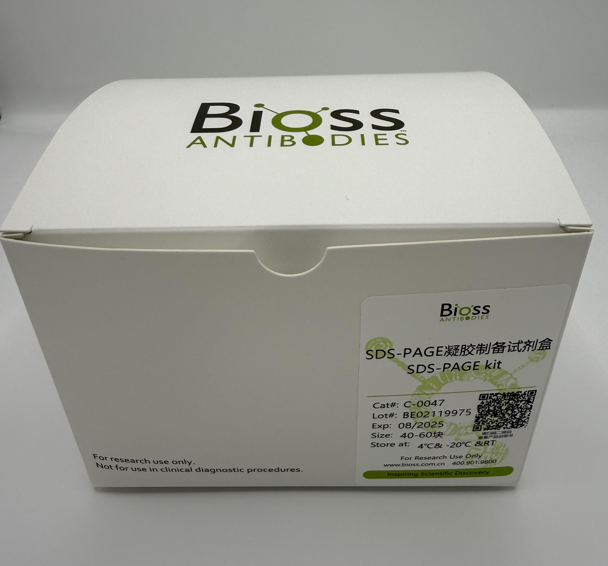 SDS-PAGE凝胶制备试剂盒