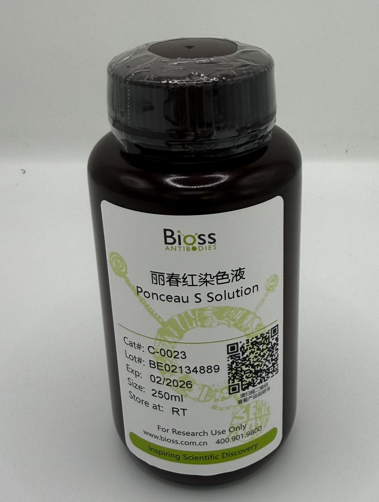 Ponceau S Stainning Kit (染色液) | Bioss