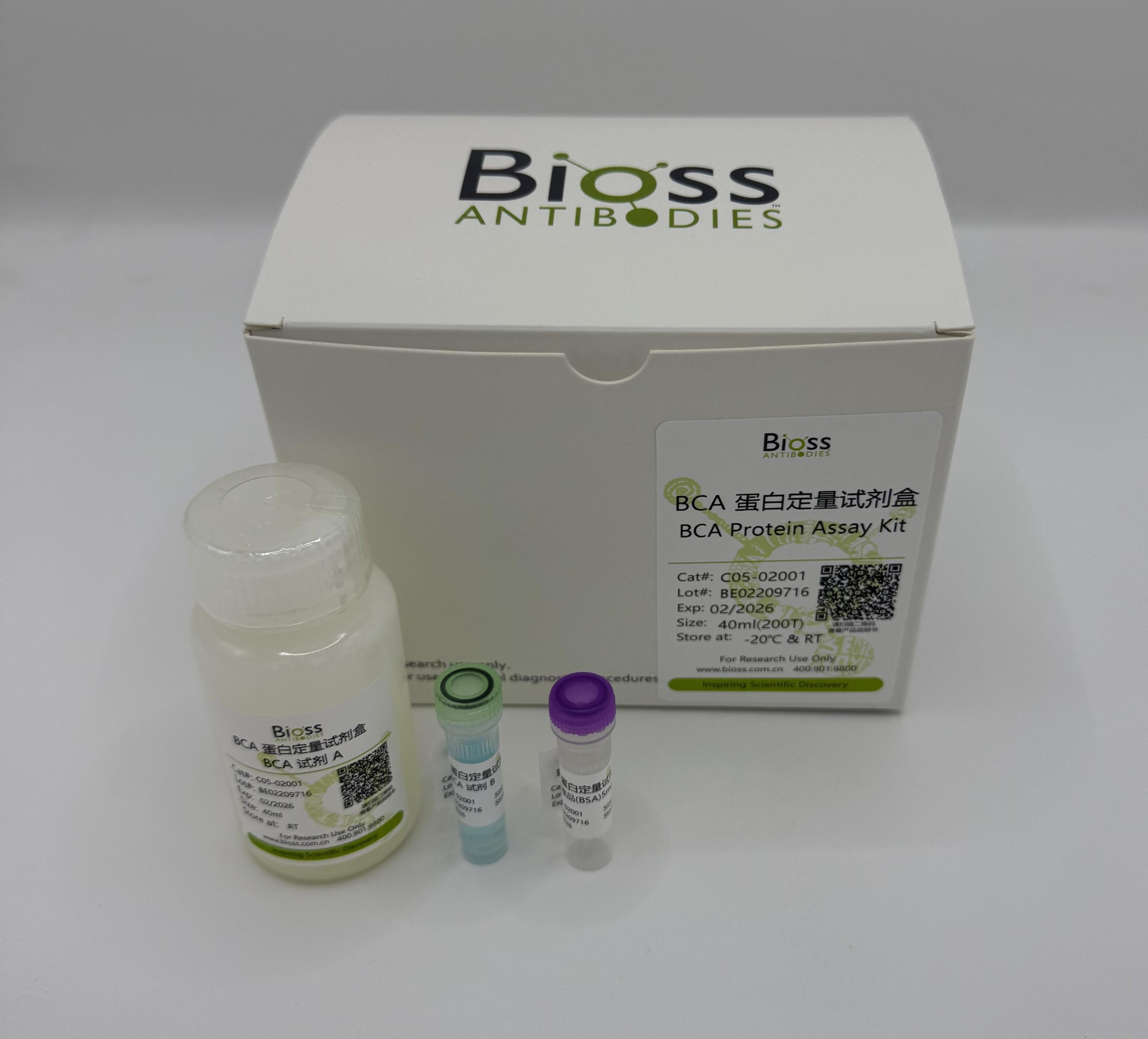 BCA蛋白定量试剂盒