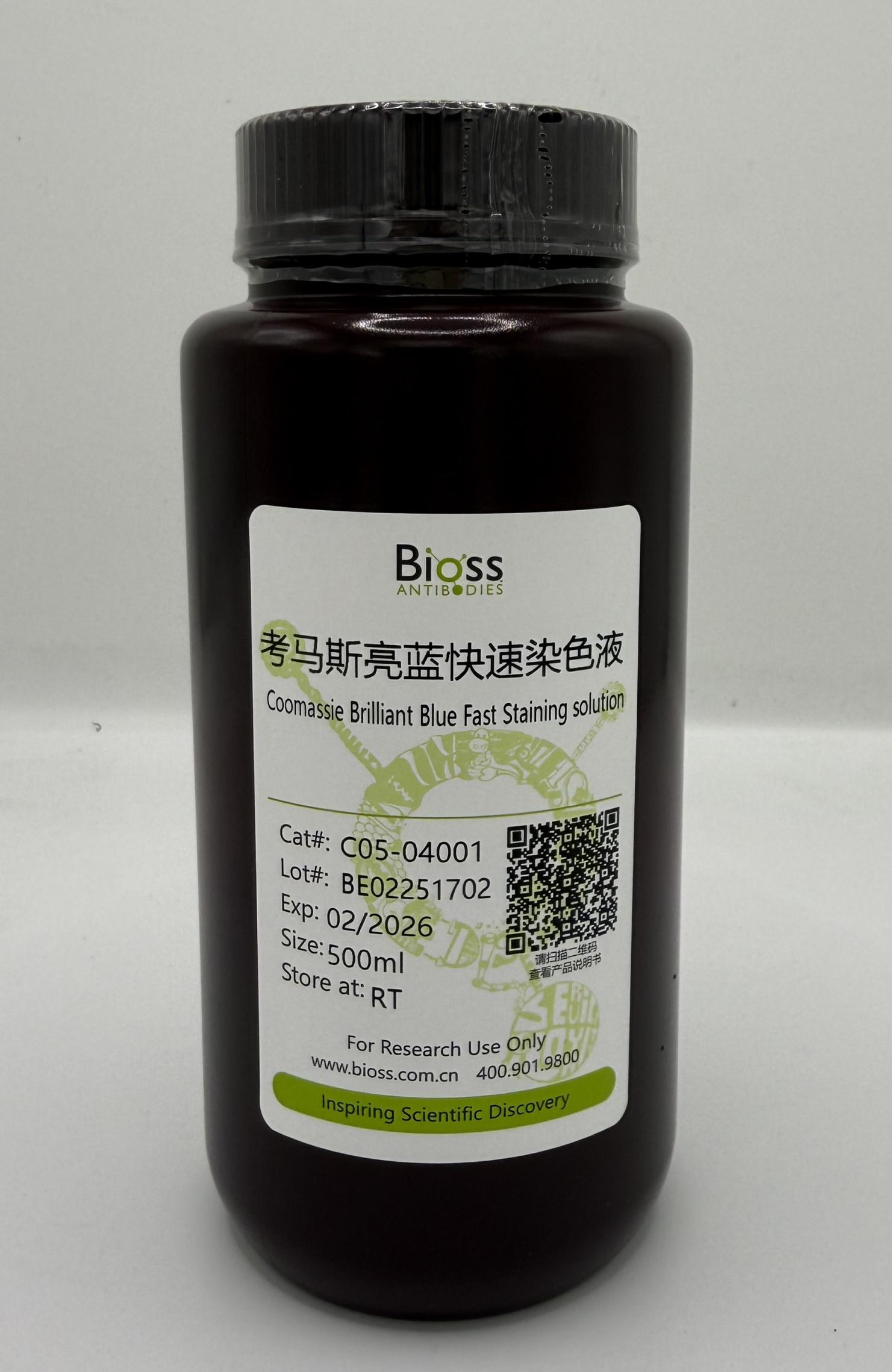 考马斯亮蓝快速染色液