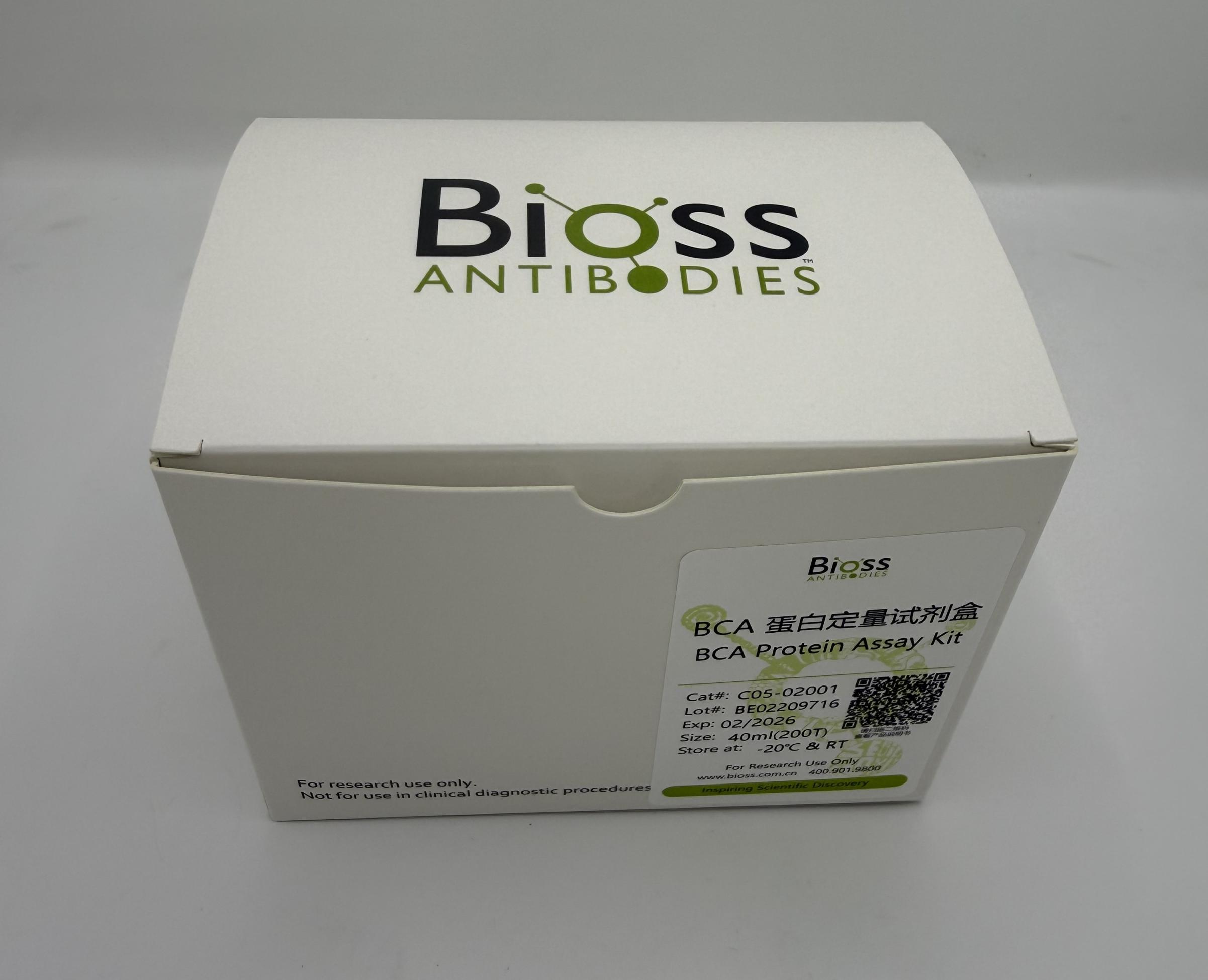 BCA蛋白定量试剂盒