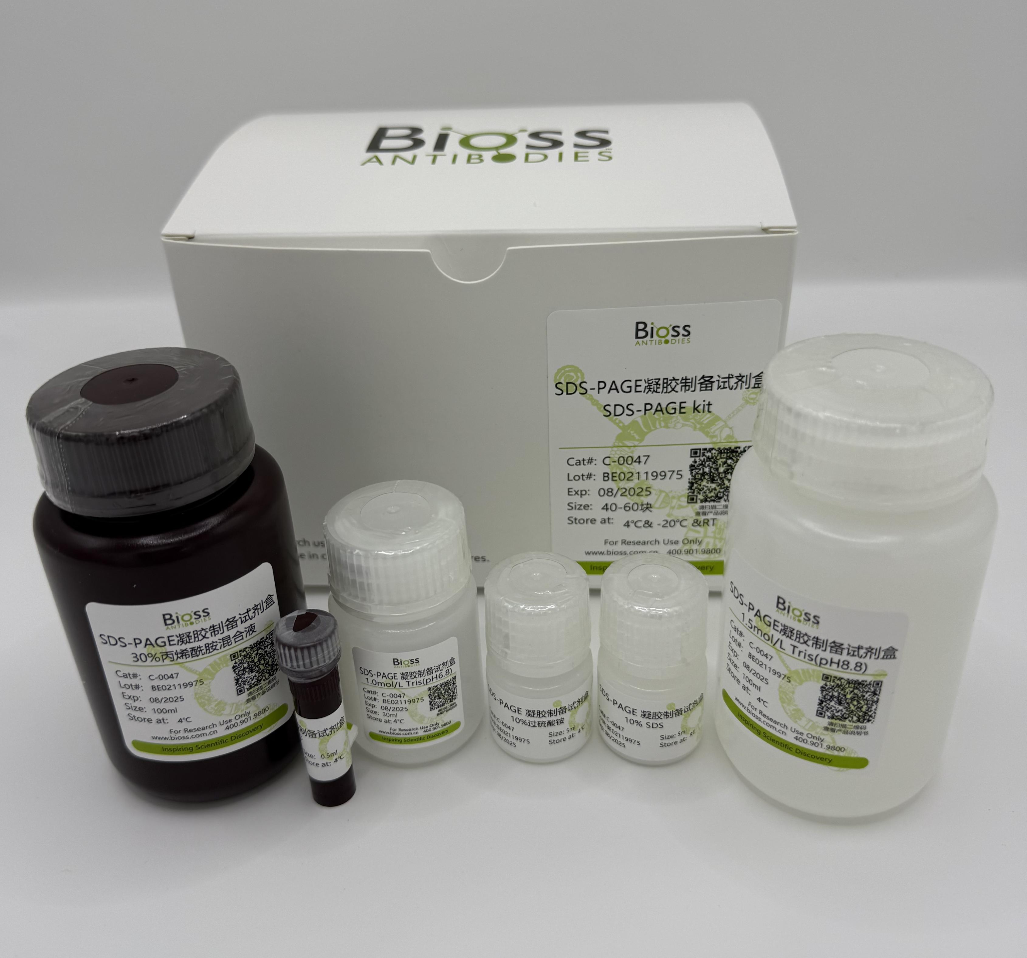 SDS-PAGE凝胶制备试剂盒