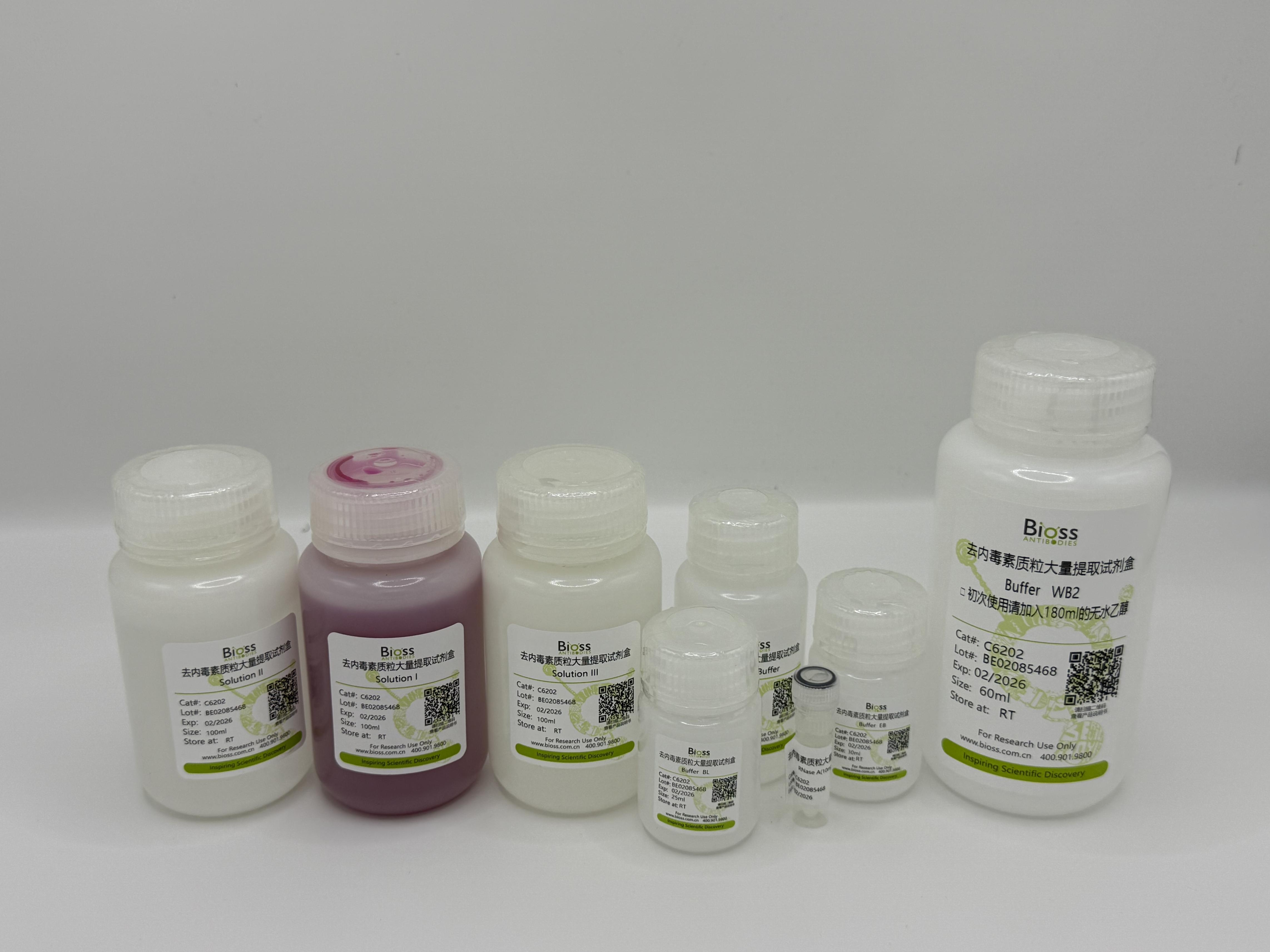 去内毒素质粒大量提取试剂盒-C6202