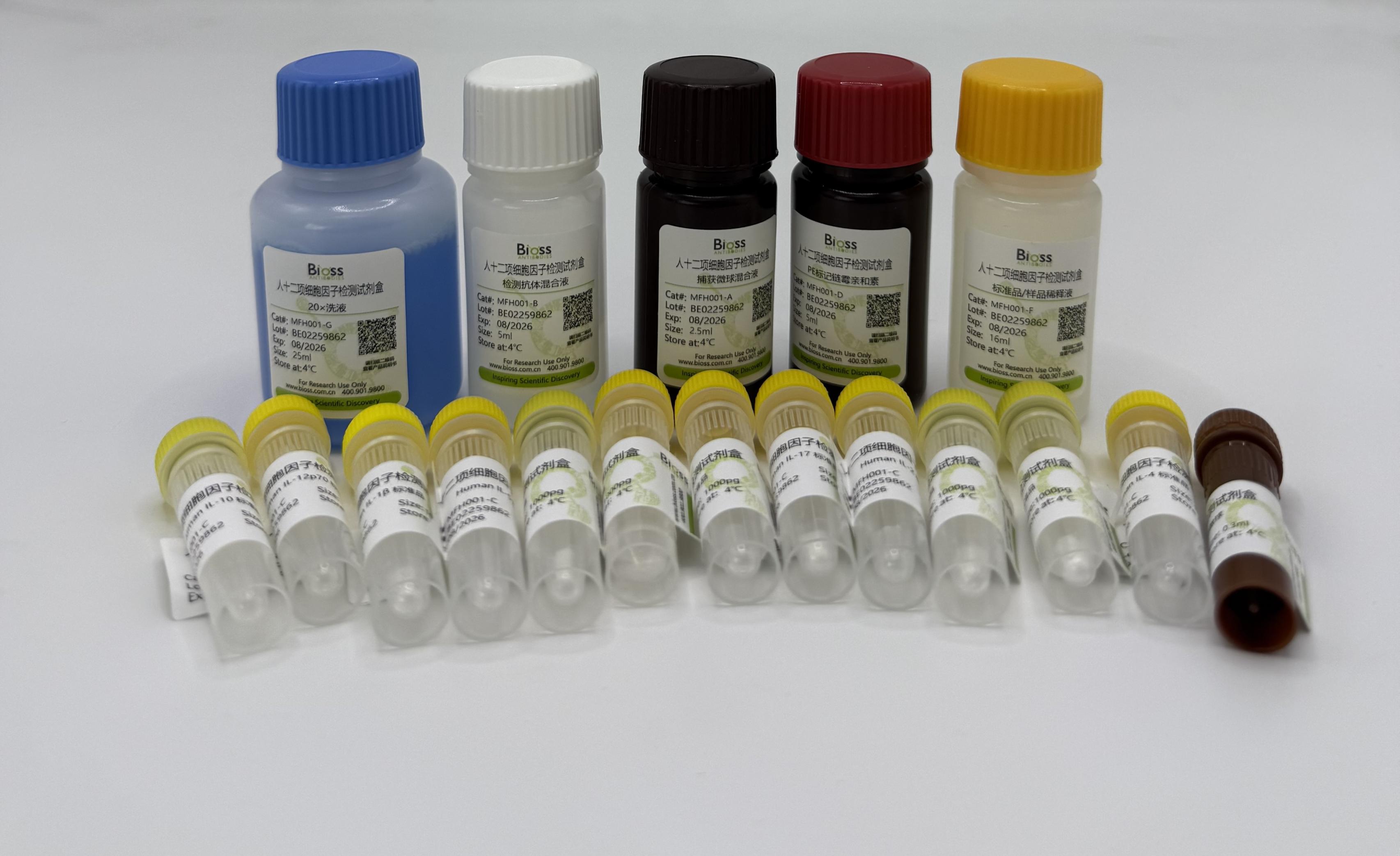 Human TNF-α/IFN-γ/IL- 1β/IL-2/IL-4/IL-5/IL-6/IL-8/IL-10/IL-12p70/IL-17/IFN-α Cytokine Kit (Flow Cytometry Multiplex Bead Assay) (流式检测试剂盒) | Bioss