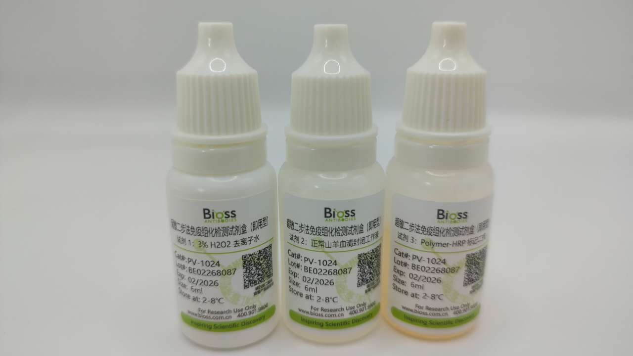 超敏二步法免疫组化检测试剂盒(小鼠,即用型)