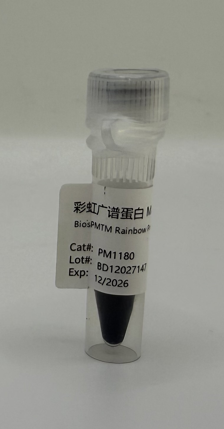 BiosPM™ 彩虹广谱蛋白Marker（10-180KD）