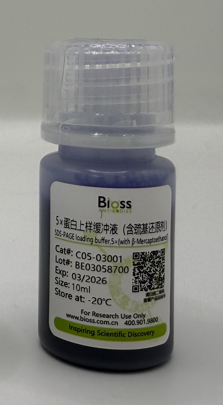 5×蛋白上样缓冲液（含巯基还原剂）