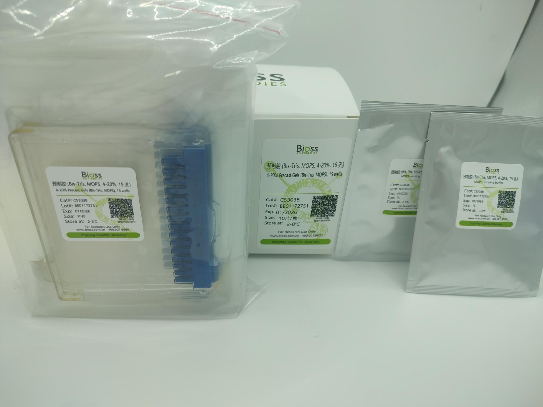 预制胶 (Bis-Tris, MOPS, 4-20%, 15孔)