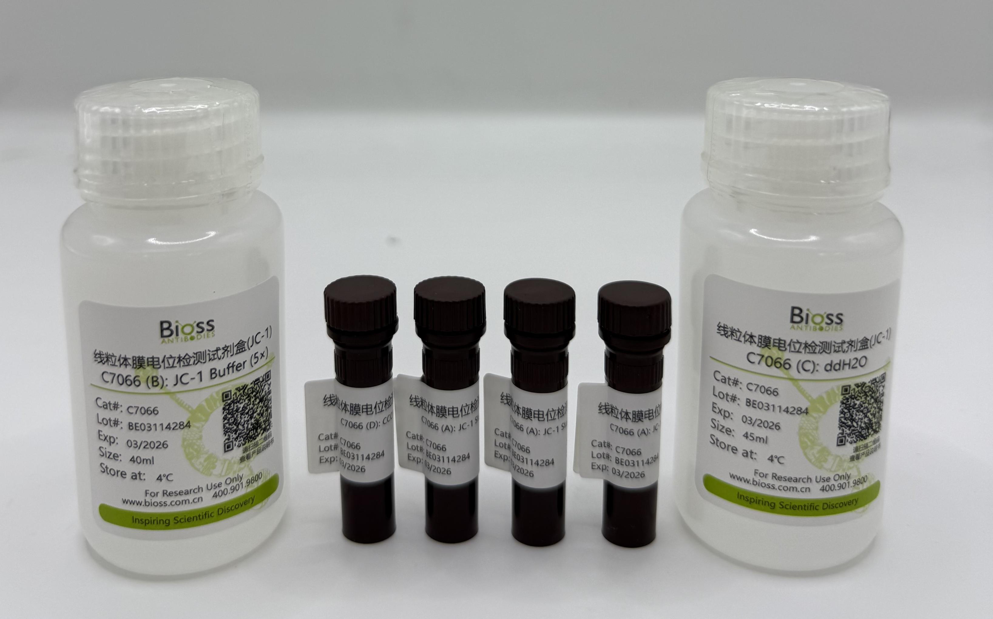 线粒体膜电位检测试剂盒(JC-1)-C7066