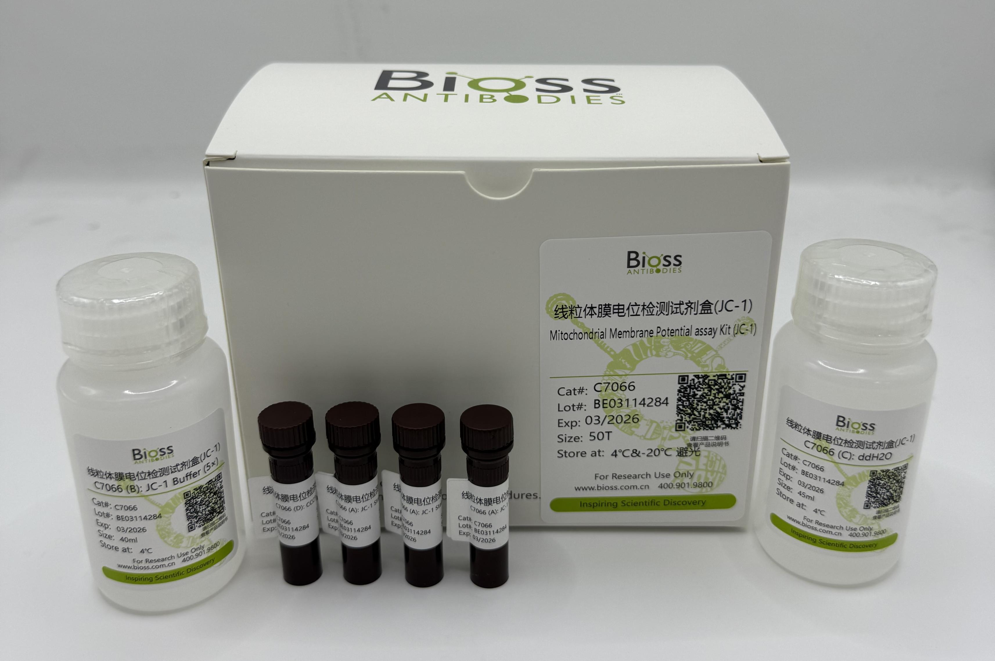 线粒体膜电位检测试剂盒(JC-1)-C7066