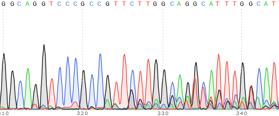 NOTCH1基因敲除MCF7细胞(Pool)-K070-1-1P