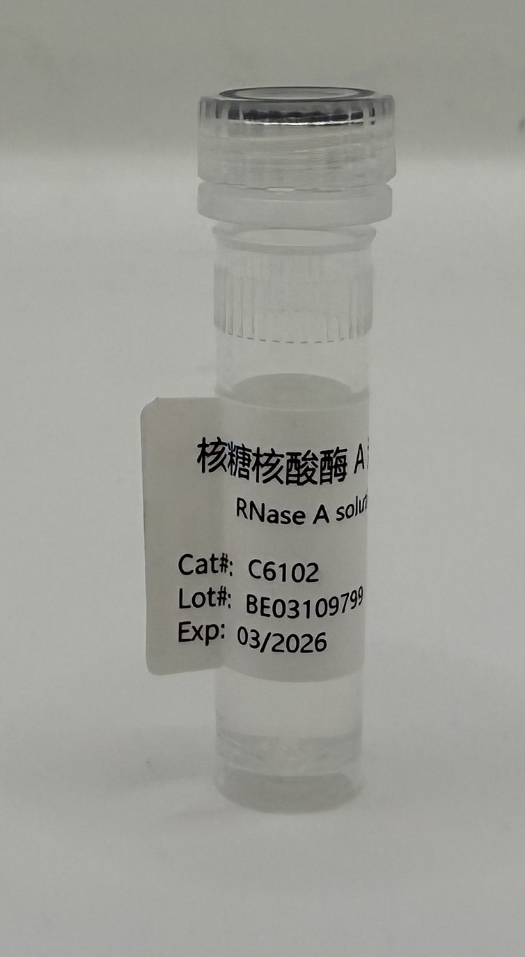 RNase A solution(10mg/mL) (分子生物学) | Bioss