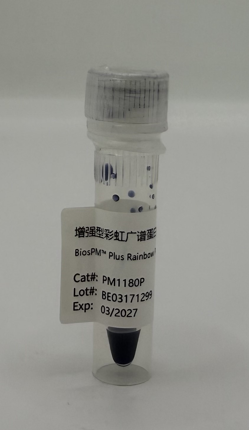 增强型彩虹广谱蛋白Marker(10-180KD)