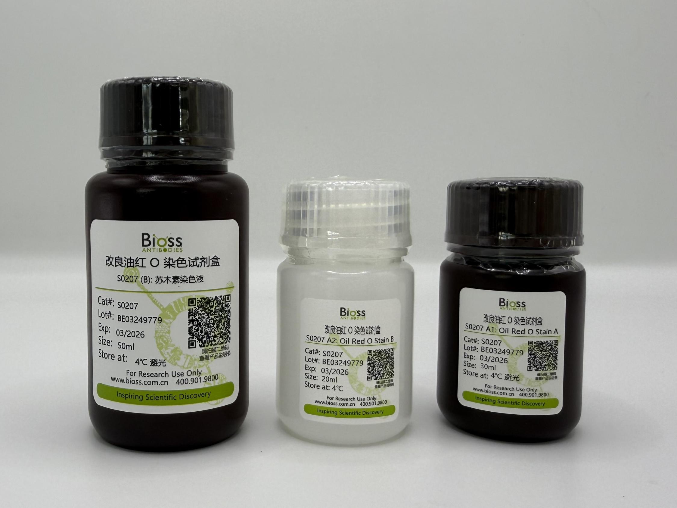 Modified Oil Red O Stain kit (染色液) | Bioss