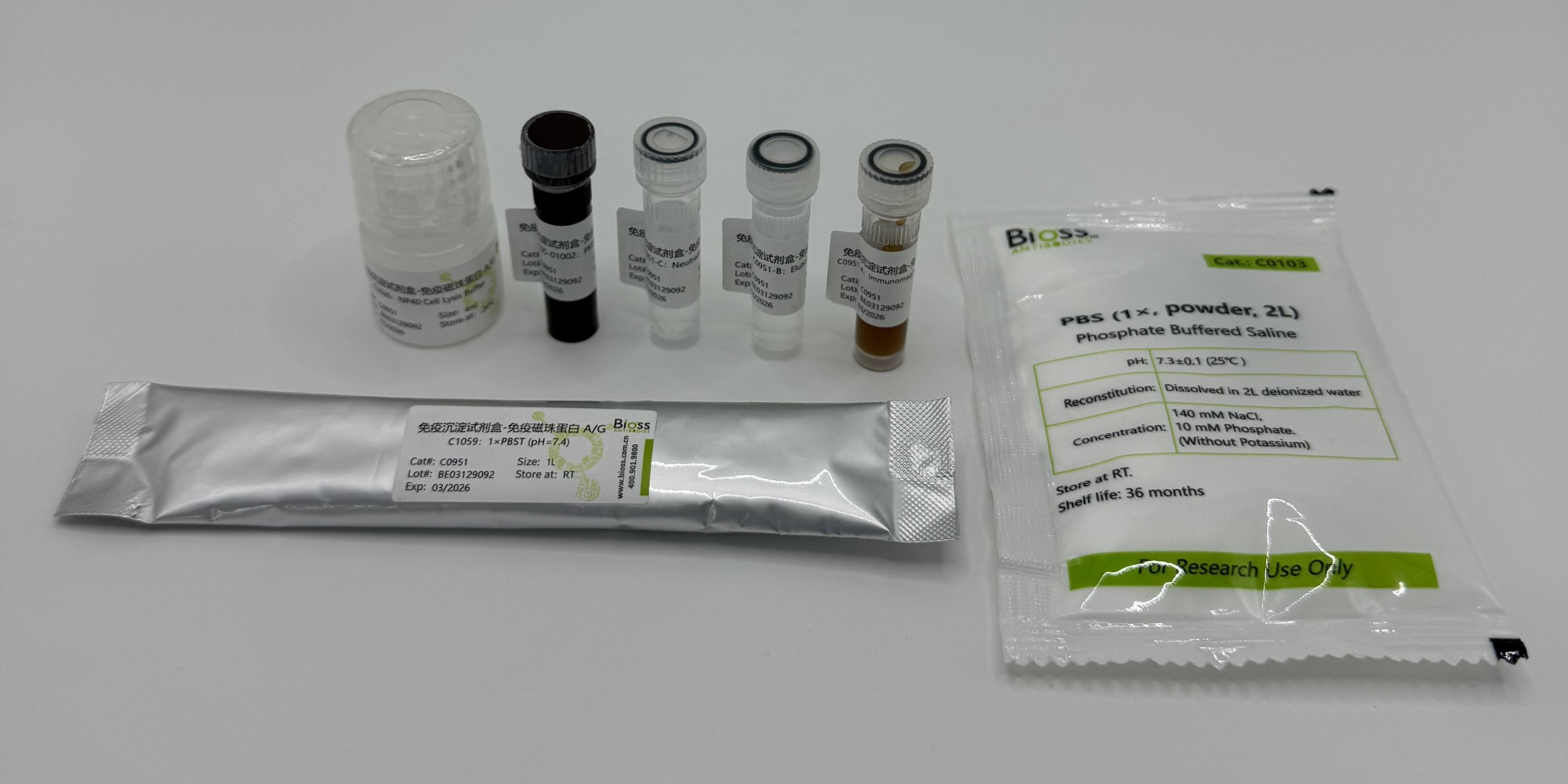 Immunoprecipitation Kit-Immunomagnetic Beads Protein A/G (免疫学试剂) | Bioss