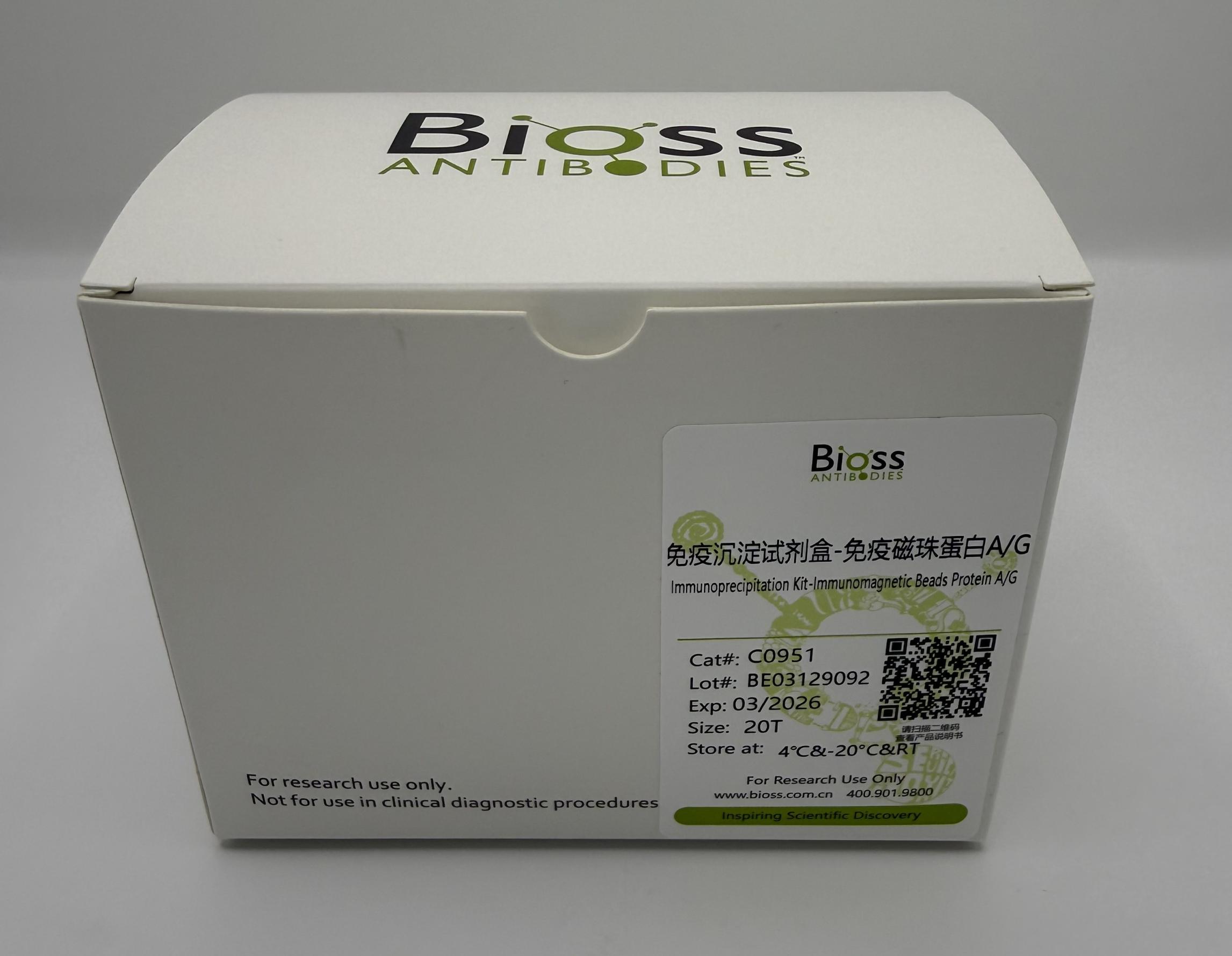 免疫沉淀试剂盒-免疫磁珠蛋白A/G-C0951
