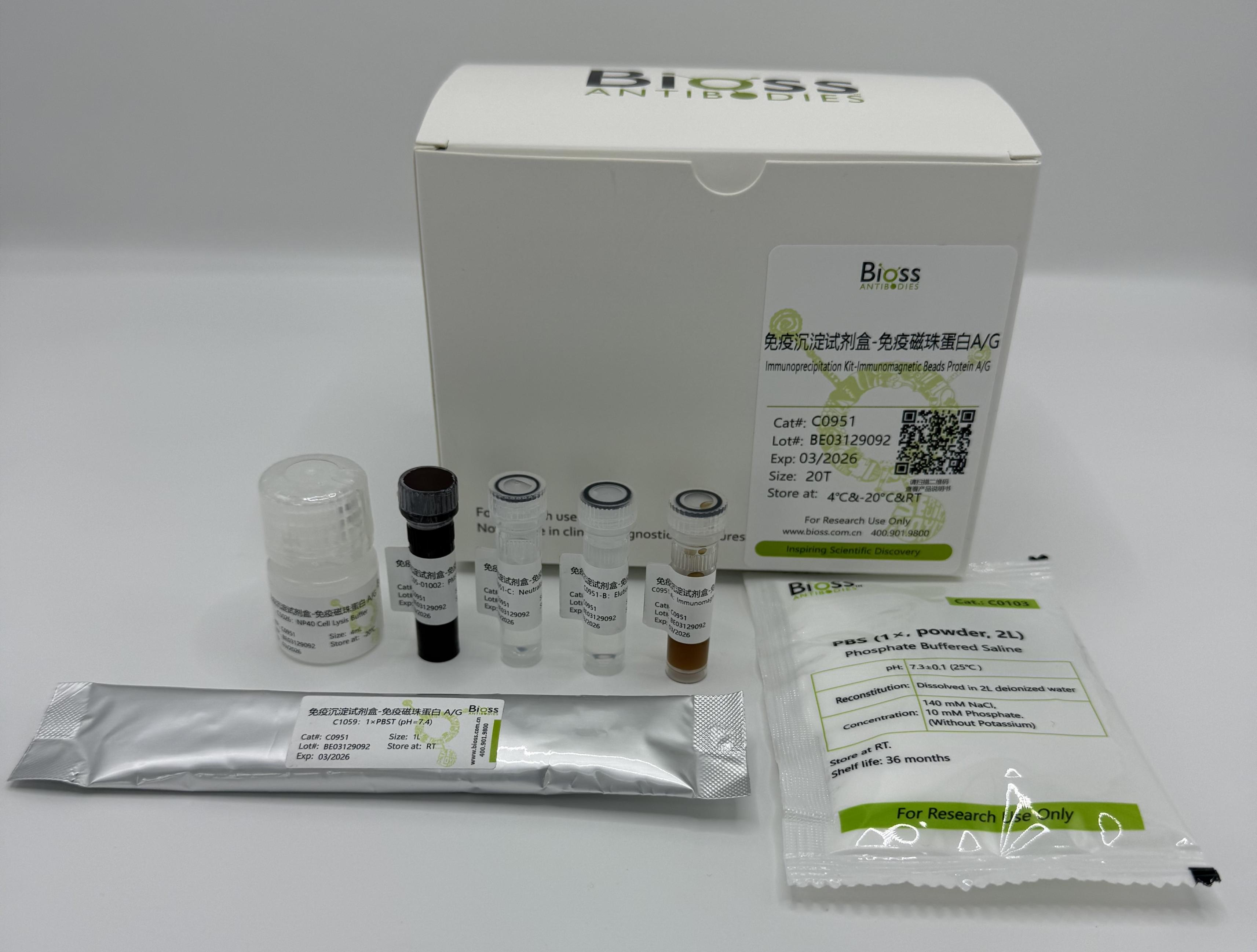 免疫沉淀试剂盒-免疫磁珠蛋白A/G-C0951