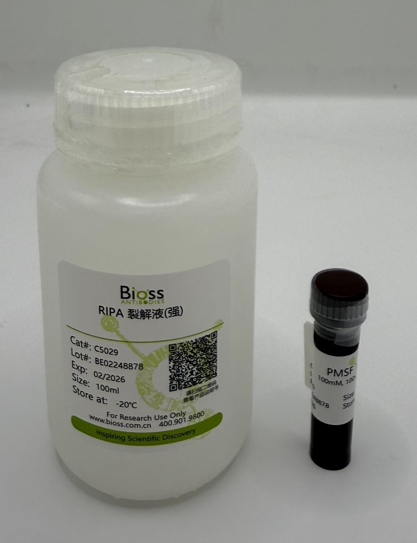 RIPA裂解液（强）